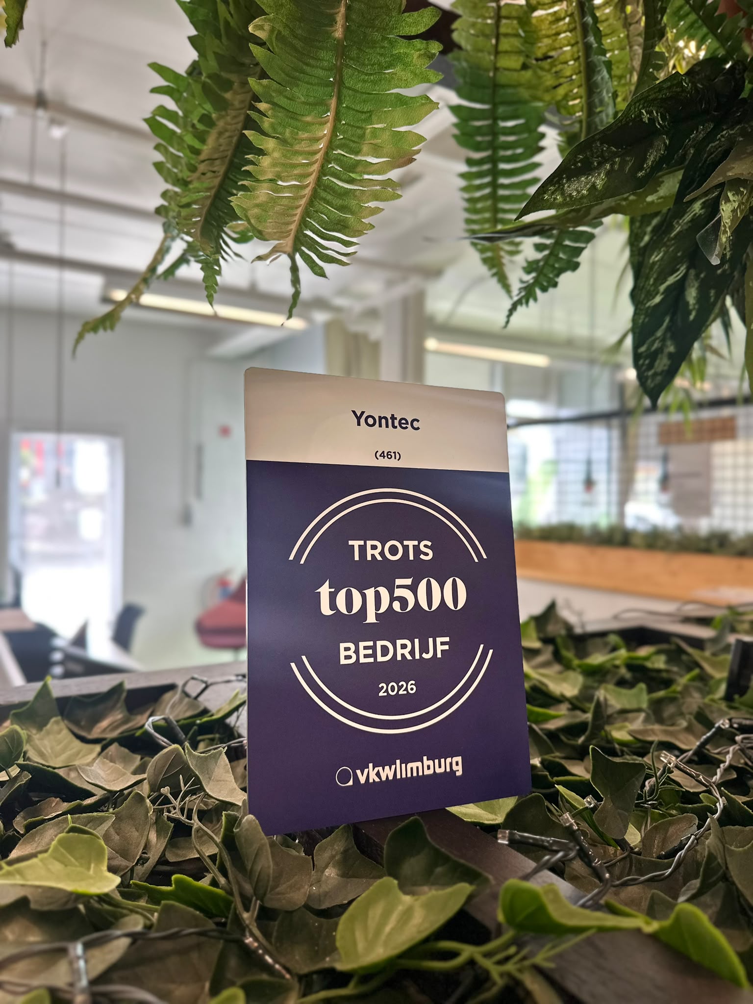 Yontec TOP 500 VKW Limburg